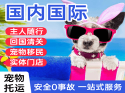 包头东河航空物流国际宠物托运 【国
